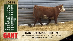 Lot #53 - GANT CATAPULT 103 371