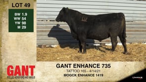 Lot #49 - GANT ENHANCE 735