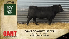 Lot #48 - GANT COWBOY UP 671