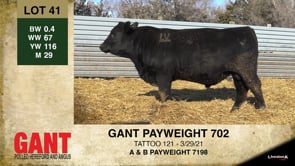Lot #41 - GANT PAYWEIGHT 702