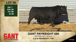 Lot #39 - GANT PAYWEIGHT 680