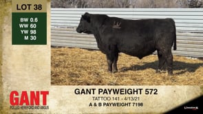 Lot #38 - GANT PAYWEIGHT 572