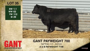 Lot #35 - GANT PAYWEIGHT 700