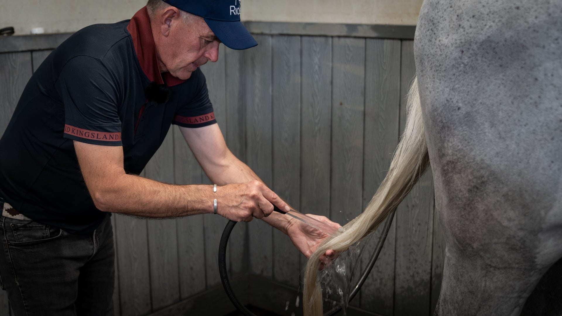 Cleaning a Grey Horse | Ridely