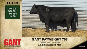 Lot #33 - GANT PAYWEIGHT 708
