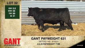 Lot #32 - GANT PAYWEIGHT 631