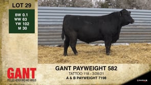 Lot #29 - GANT PAYWEIGHT 582