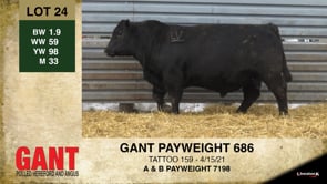 Lot #24 - GANT PAYWEIGHT 686