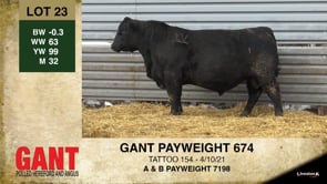 Lot #23 - GANT PAYWEIGHT 674