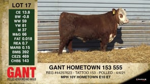 Lot #17 - GANT HOMETOWN 153 555