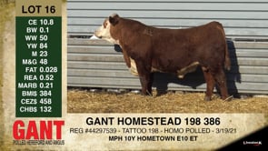 Lot #16 - GANT HOMESTEAD 198 386