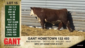 Lot #15 - GANT HOMETOWN 132 493