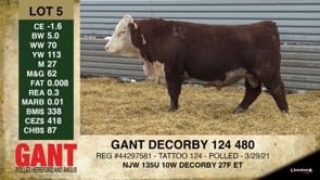 Lot #5 - GANT DECORBY 124 480