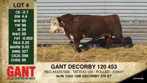 Lot #4 - GANT DECORBY 120 453
