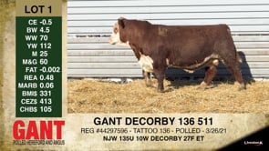 Lot #1 - GANT DECORBY 136 511