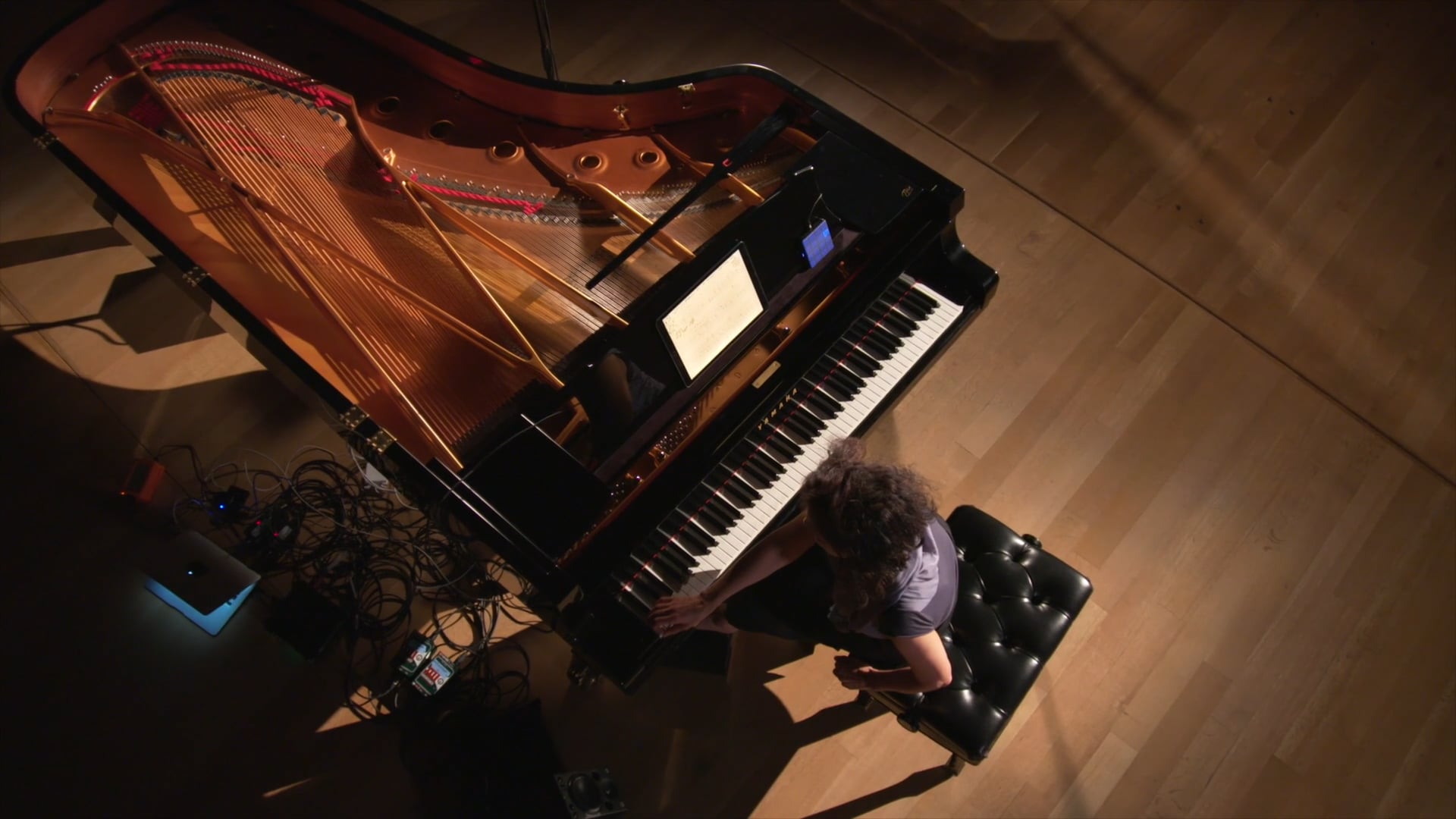 Eve Egoyan : Piano NEXT