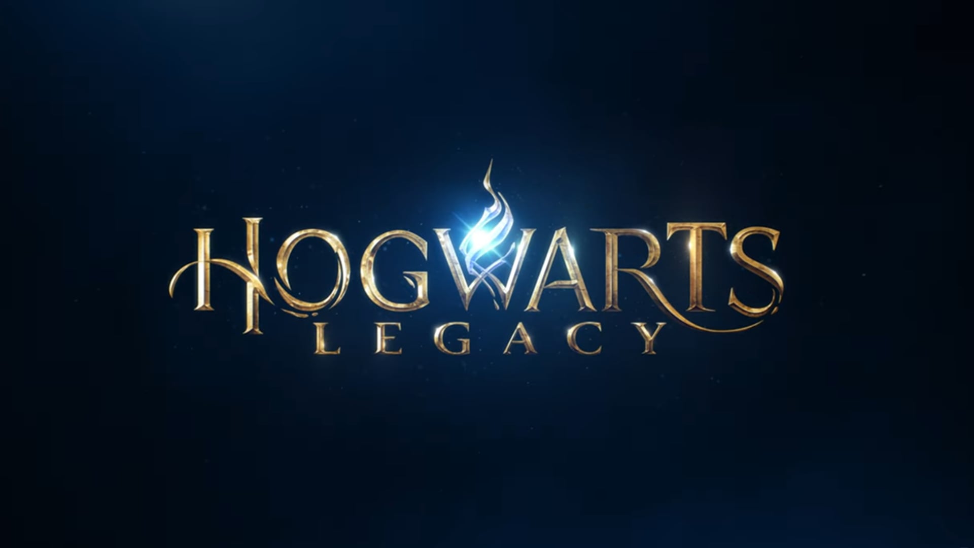 Hogwarts Legacy Animation