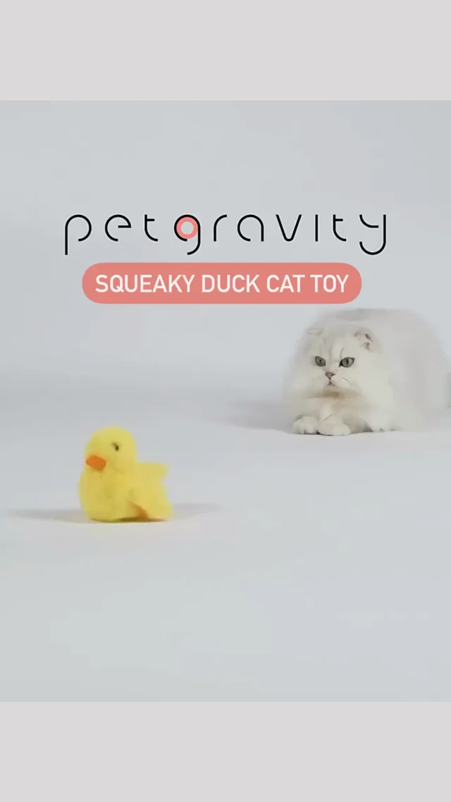 Squeaky the Dancing Duck Cat Toy – Petites Paws