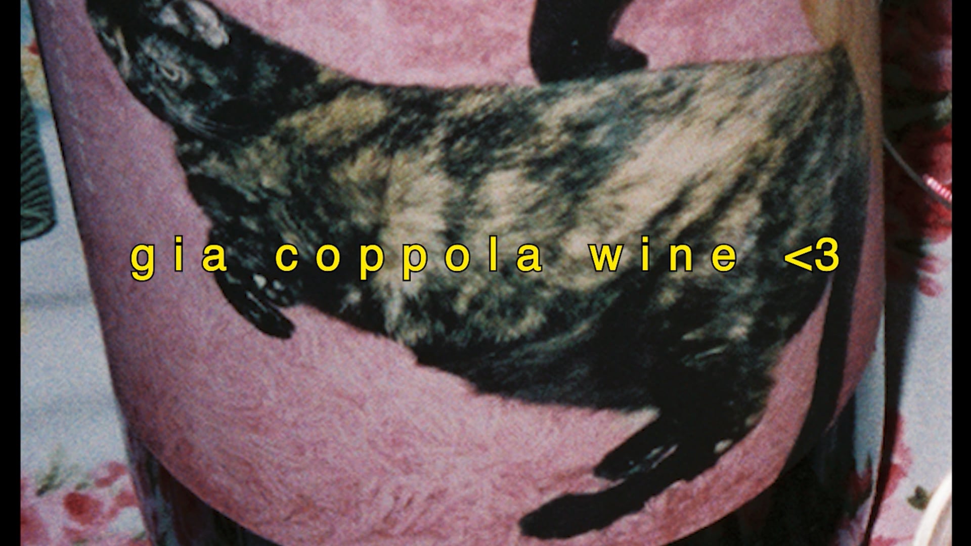 "The Dinner" - Gia Coppola Wine
