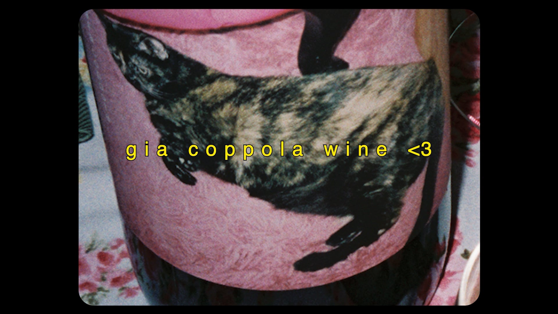 "The Dinner" - Gia Coppola Wine