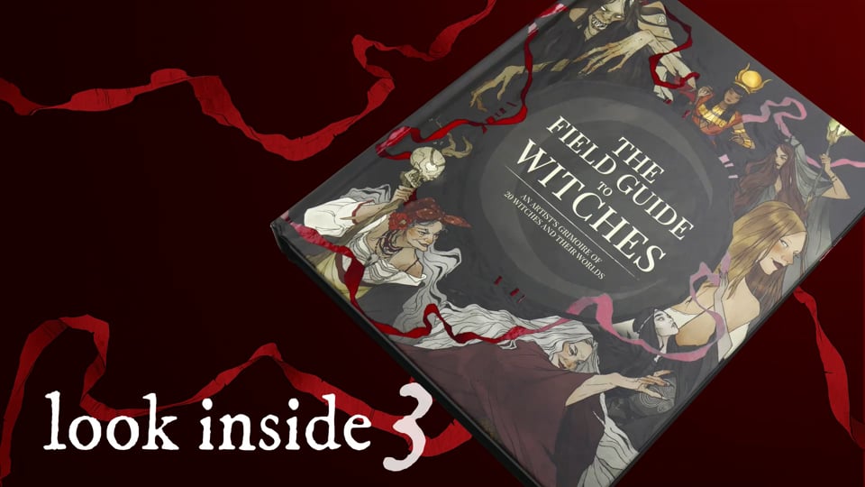 The Field Guide to Witches: An artist's grimoire of 20 witches and the –  3dtotal shop