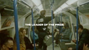 LONDON LIONS // 'The Leader of The Pride"