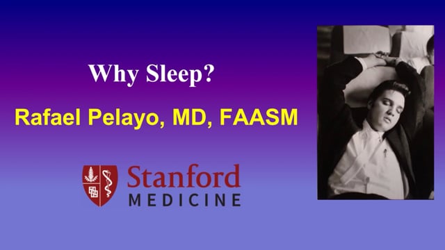 Why Sleep?