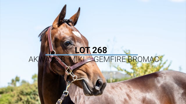 Lot 268