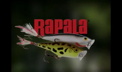 Esca Da Pesca Rapala Skitter Pop - Esca Topwater In Legno Di Balsa 7cm Per Pesci Predatori - Foto 5