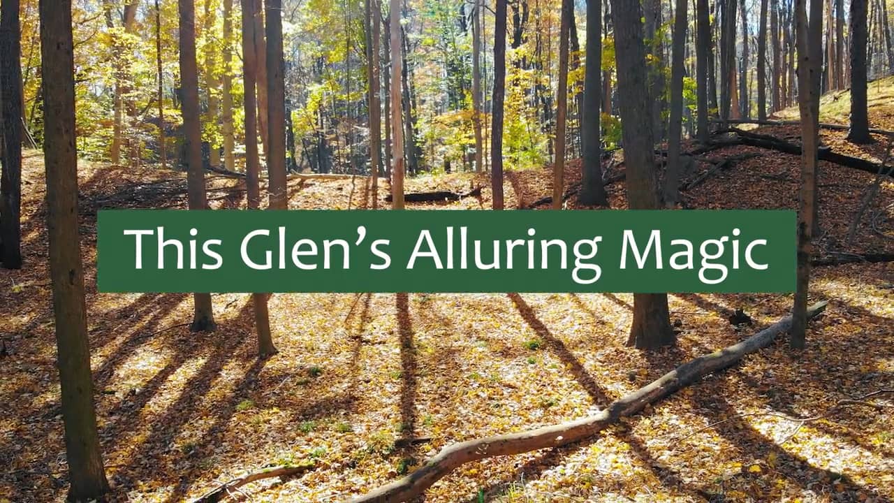 This glen s alluring magic mp4 on vimeo