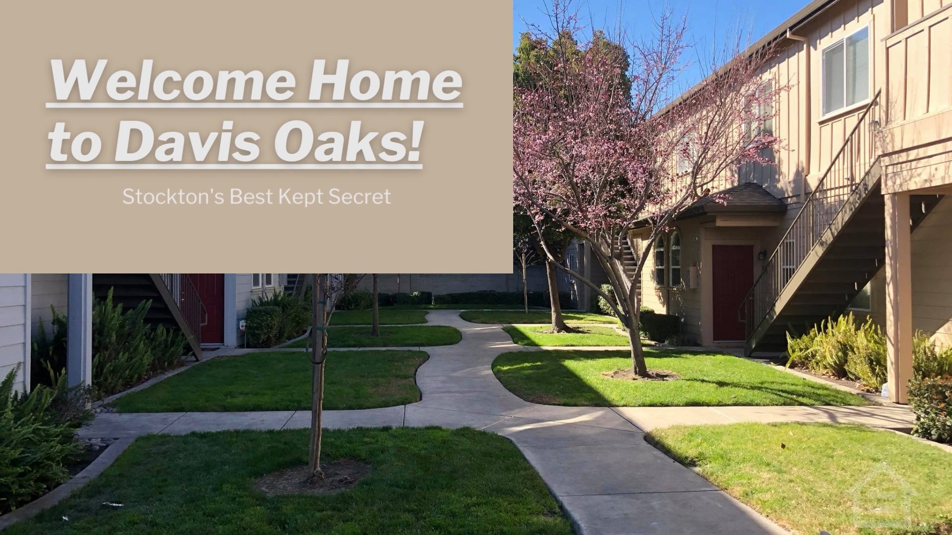 Apartments for Rent, Gated Community, One and Two Bedroom Apartments and Condominiums Davis