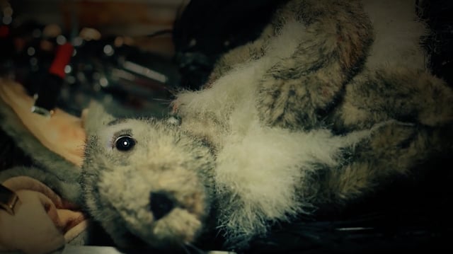 Related Embedded Video Item Thumbnail