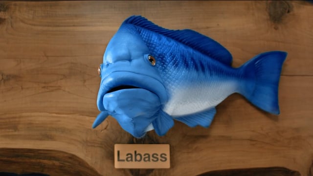 Related Embedded Video Item Thumbnail