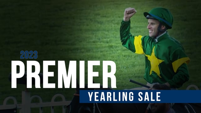 2023 Inglis Premier Yearling Sale - #WhereWillYouBe