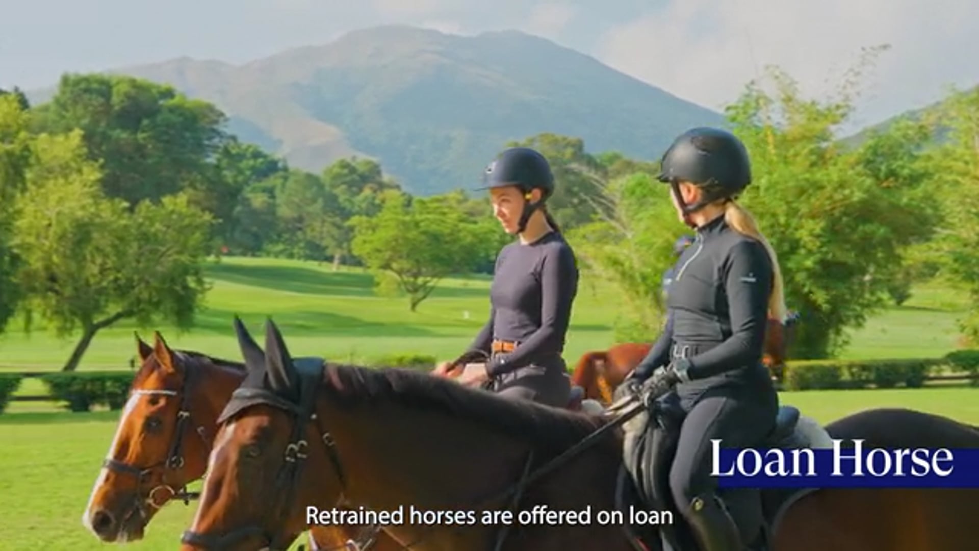 HKJC Retired Horse Programme