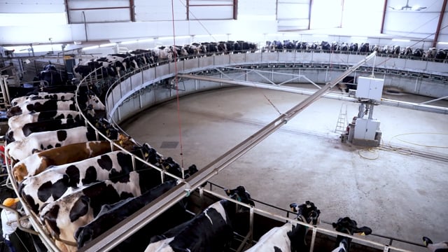 La sala rotativa GEA T8900 más grande de Europa, instalada en España
