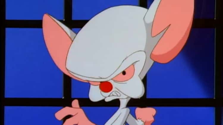 Pinky and The Brain Intro 