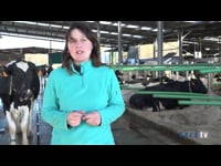 “Nos ayuda a mejorar la fertilidad y los índices de preñez”