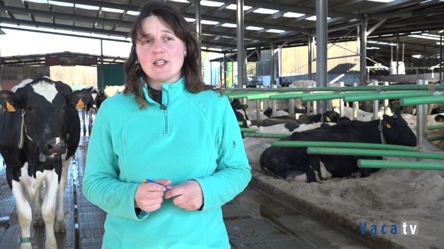 “Nos ayuda a mejorar la fertilidad y los índices de preñez”