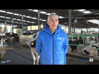 “Nuestro equipo interactúa a diario con los responsables de los sistemas para dar solución a cualquier aspecto”