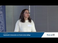 Convocatorias existentes para proxectos colaborativos e experiencias previas