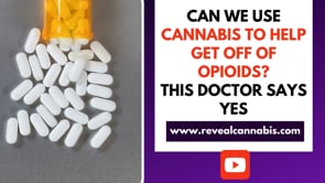 Can we use cannabis to help get off of opioids? This doctor says yes.