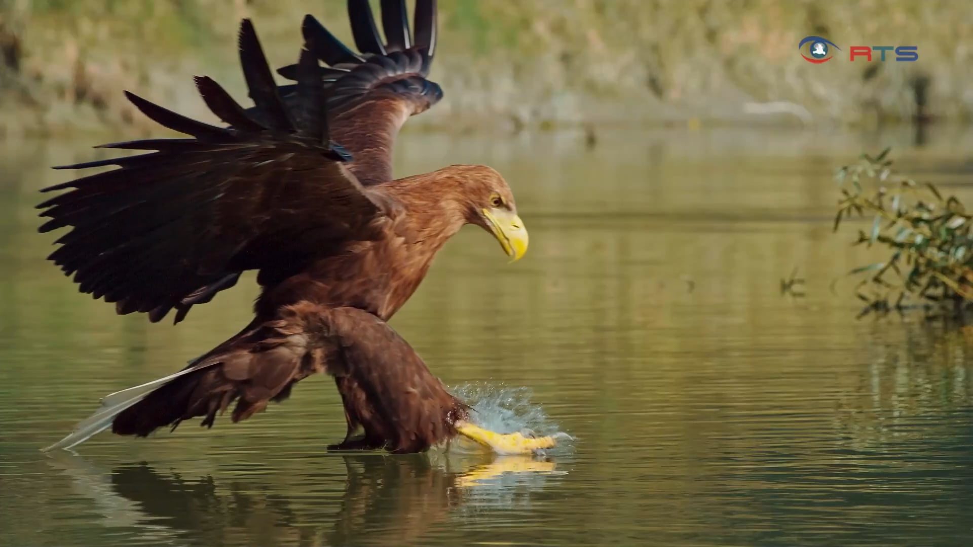 film-der-woche-vogelperspektiven