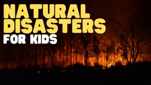 Vimeo Thumbnail