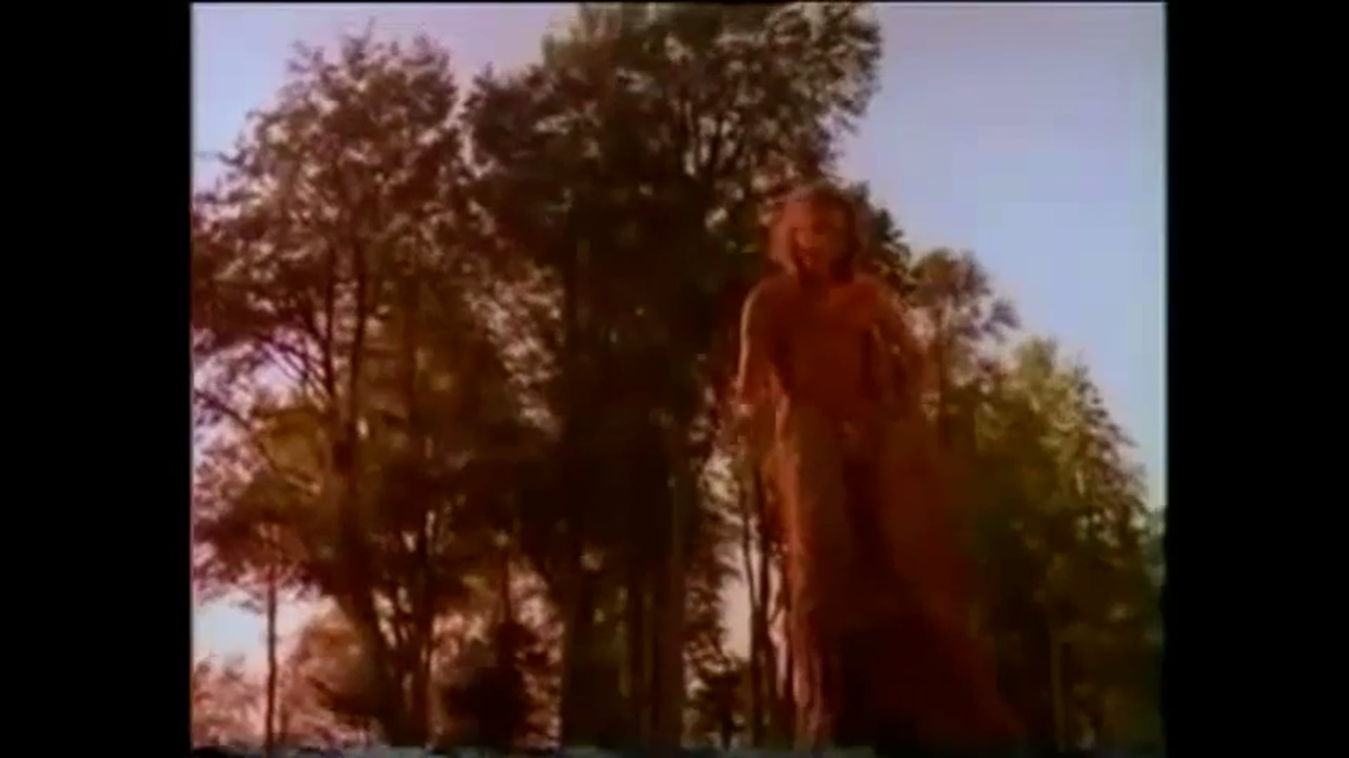 TIM POPE 'I WANT TO BE A TREE'