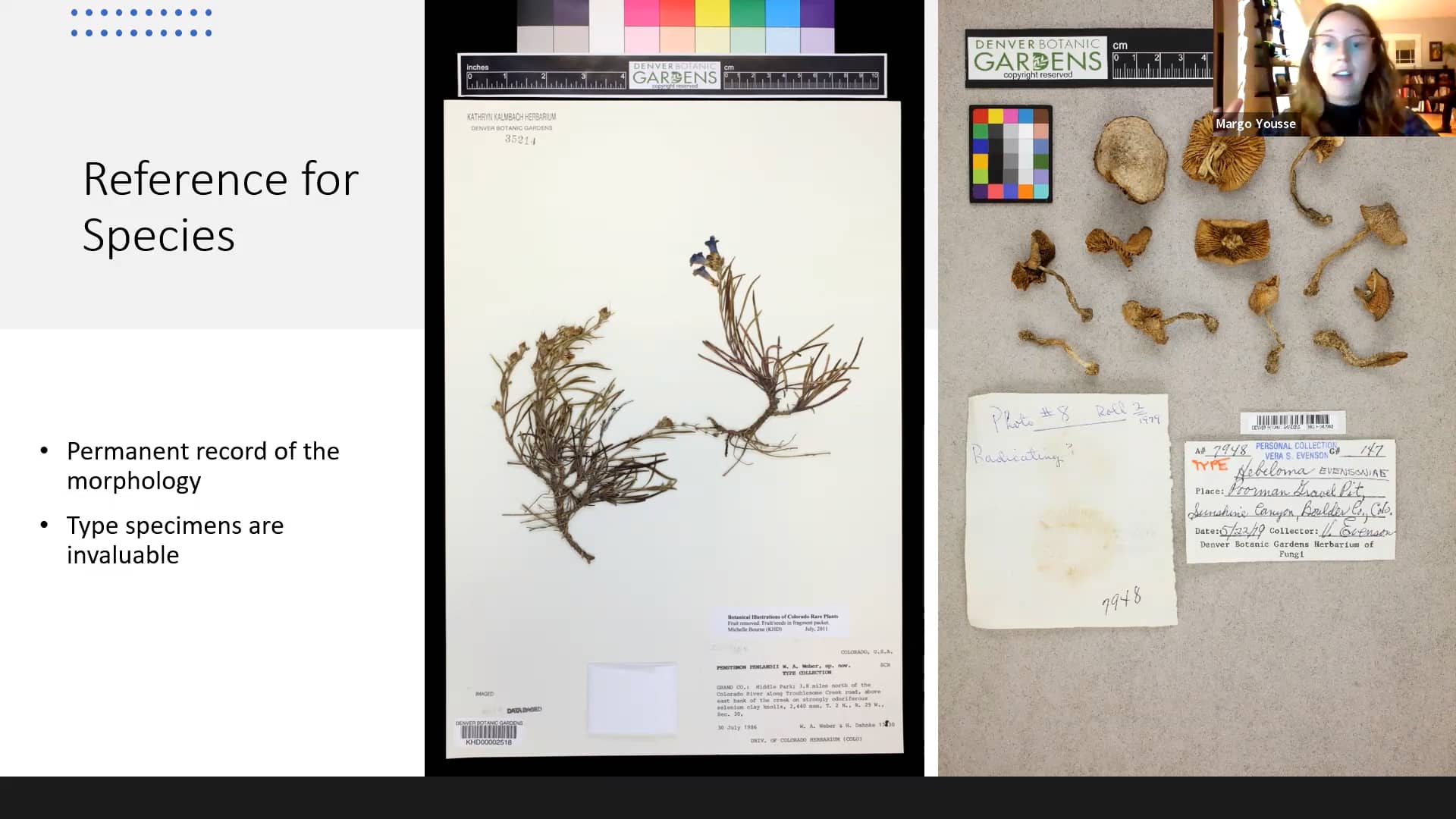 Herbaria A Botanic Journey Through Time With Collections Assistant
