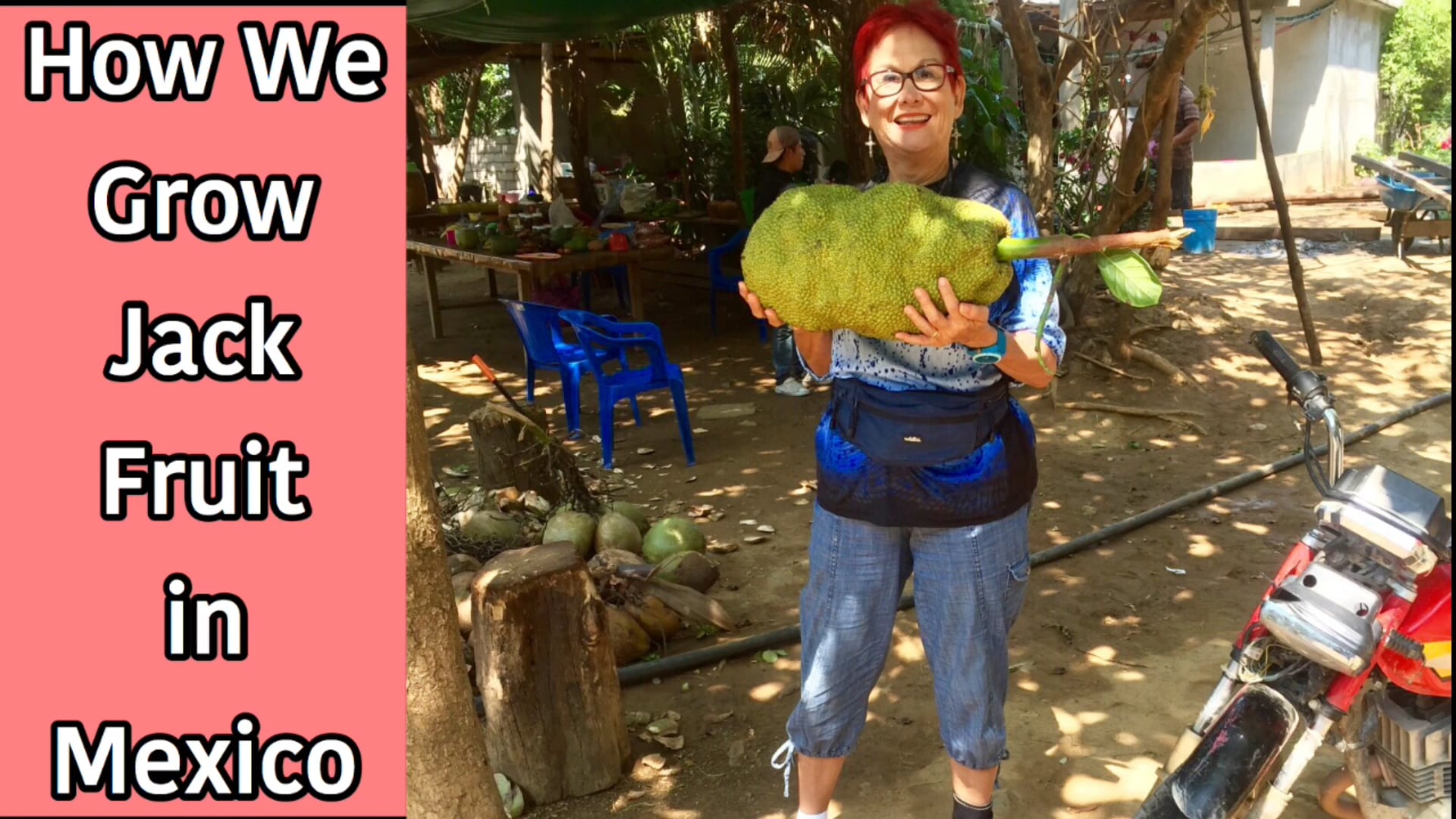 Jackfruit in Mexico on Vimeo