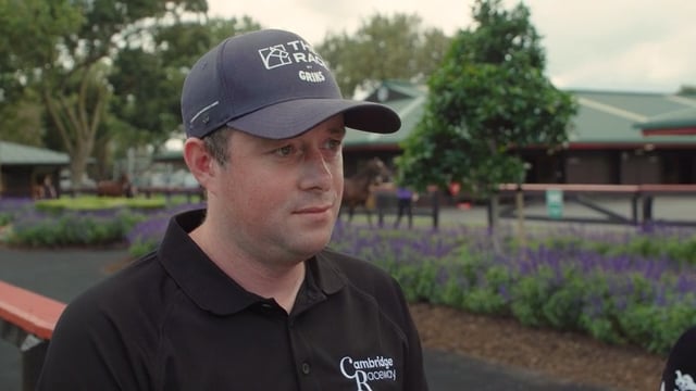 2023 National Yearling Sale | Dave Branch