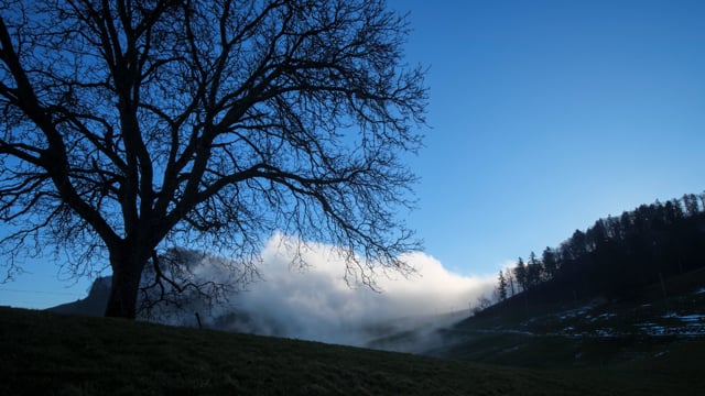 Foto realista de niebla de nubes de humo de hielo seco para diferentes  proyectos, etc. 4529745 Foto de stock en Vecteezy