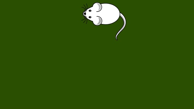 30+ Free Mouse & Computer Videos, HD & 4K Clips - Pixabay 30+ Free Mouse & Computer Videos, HD & 4K Clips - Pixabay
